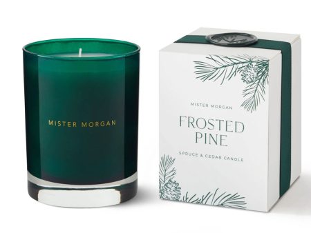 Holiday Frosted Pine Candle Hot on Sale